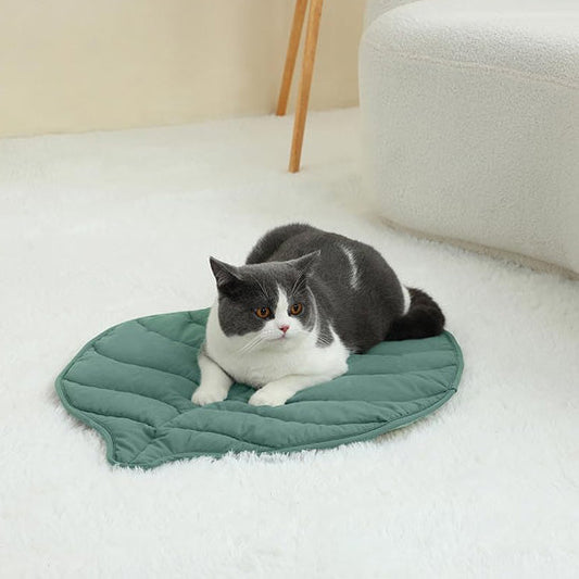 Tapis chauffant pour chat : Faire le bon choix
