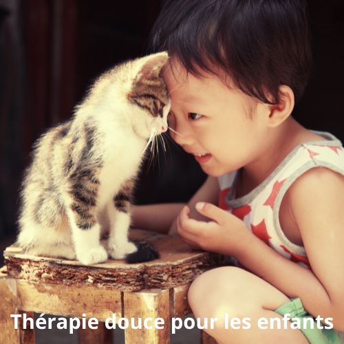 Les bienfaits des chats à la maison avec les enfants