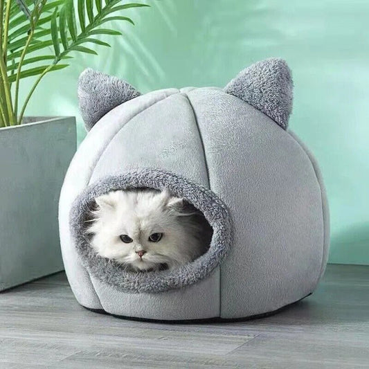 Quel panier choisir pour votre chat ? - CHATS