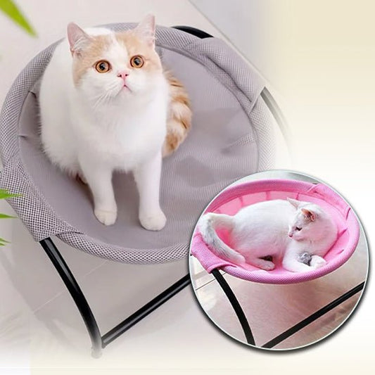 Vous avez dit hamac pour chat ? - CHATS
