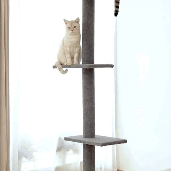 Arbre à chat - Gris-Kaki