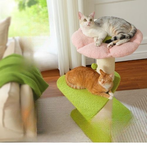 Arbre à chat en bois - Structure robuste et matériaux résistants