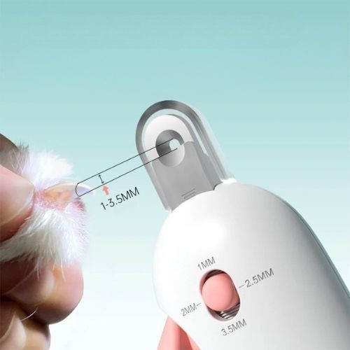 Coupe ongle pour chat - La technique du toilettage