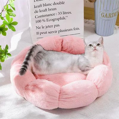 Coussin chat - Confort douillet pour votre animal adoré