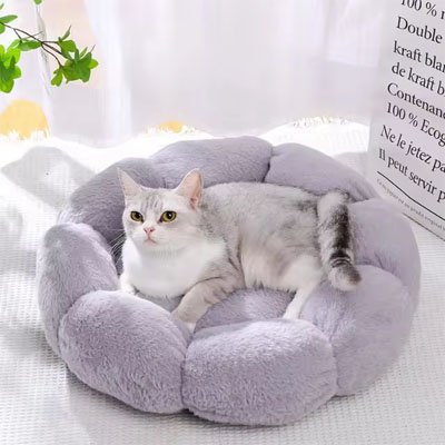 Coussin chat - Confort douillet pour votre félin adoré