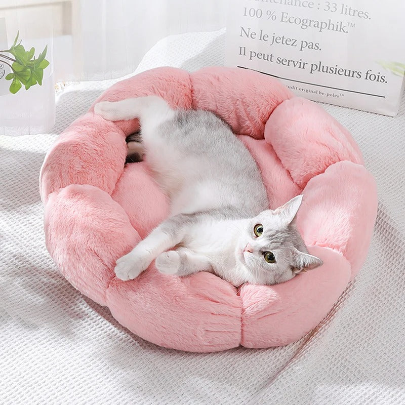 Coussin chat - Profitez d'un coussin chat pas cher qui respecte vos exigences esthétiques