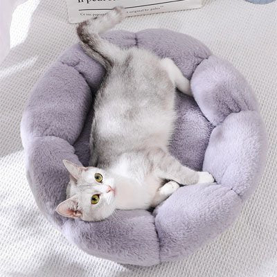 Coussin chat - Un confort moelleux pour des rĂȘves paisibles