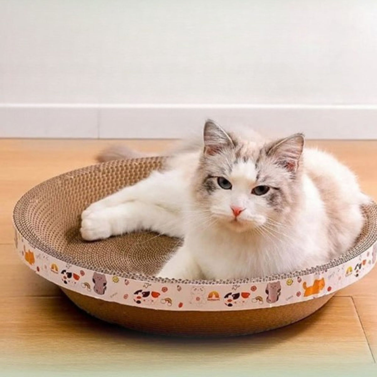 Griffoir pour chat - PANIER™