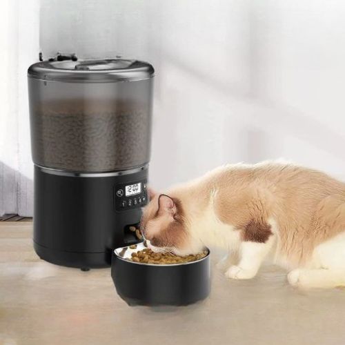 Distributeur de croquettes pour chat - Tranquilité d'esprit