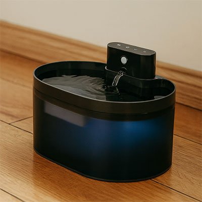 Fontaine a eau pour chat - Moins de corvées, plus de moments complices