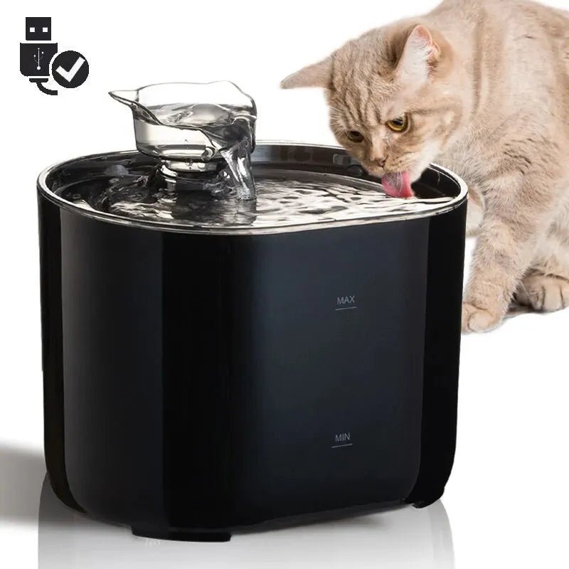 Fontaine à eau chat - L'hydratation idéale pour votre félin