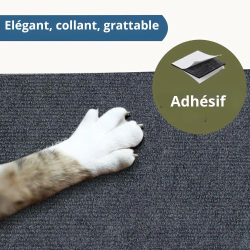 Griffoir chat - Elégant,_collant,_grattable - Satisfaction féline garantie