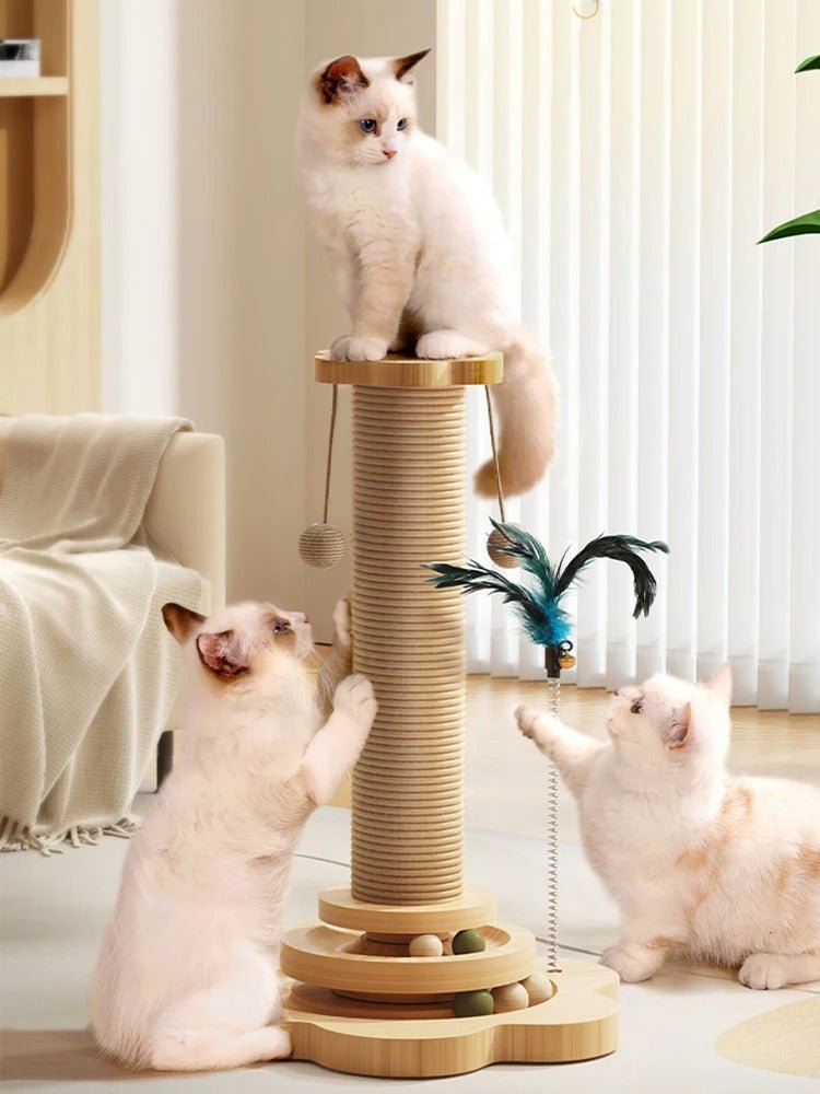 Griffoire chat - Soin des pattes