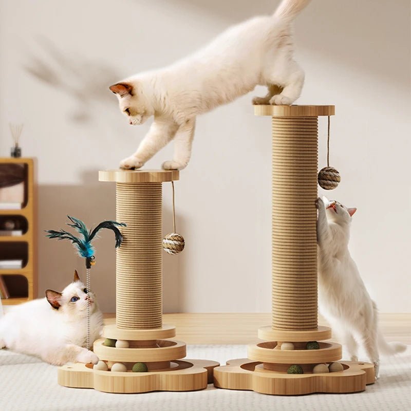 Griffoire chat - Tout-en-un