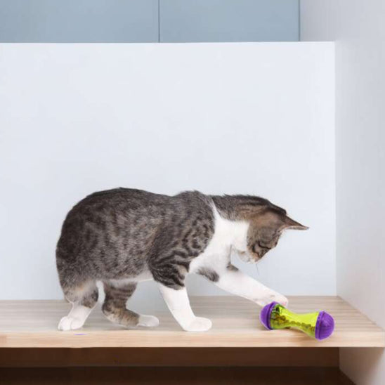 Jouet pour chat - BOLAMUSANTPOURCHATâą