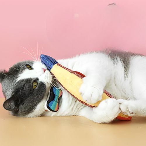 Jouet pour chat - Des moments de complicité inoubliables.