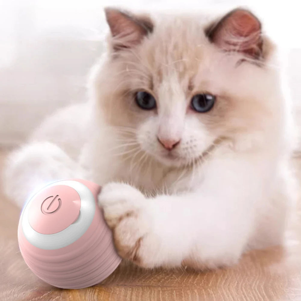 Jouet pour chat - La balle intelligente qui révolutionne le jeu félin