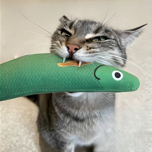 Jouet pour chat - Un investissement pour transformer le comportement de votre félin