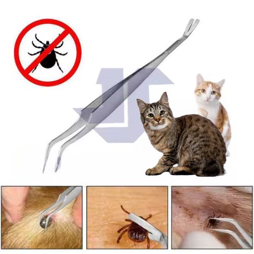 Pince à tique - Protection essentielle contre les parasites