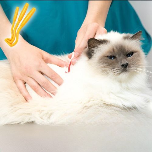 Pince à tique - Protège votre chat