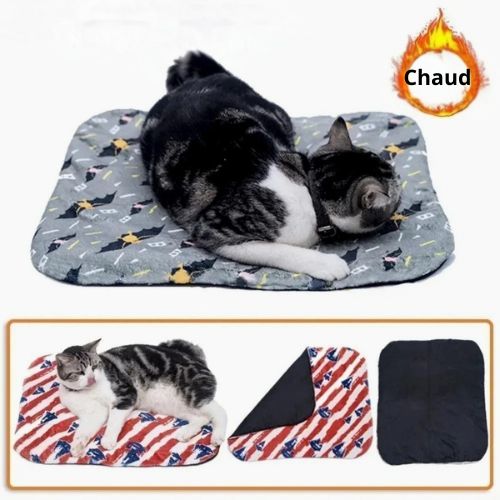 Tapis chauffant chat - Pourquoi votre chat a besoin d'un tapis chauffant chat