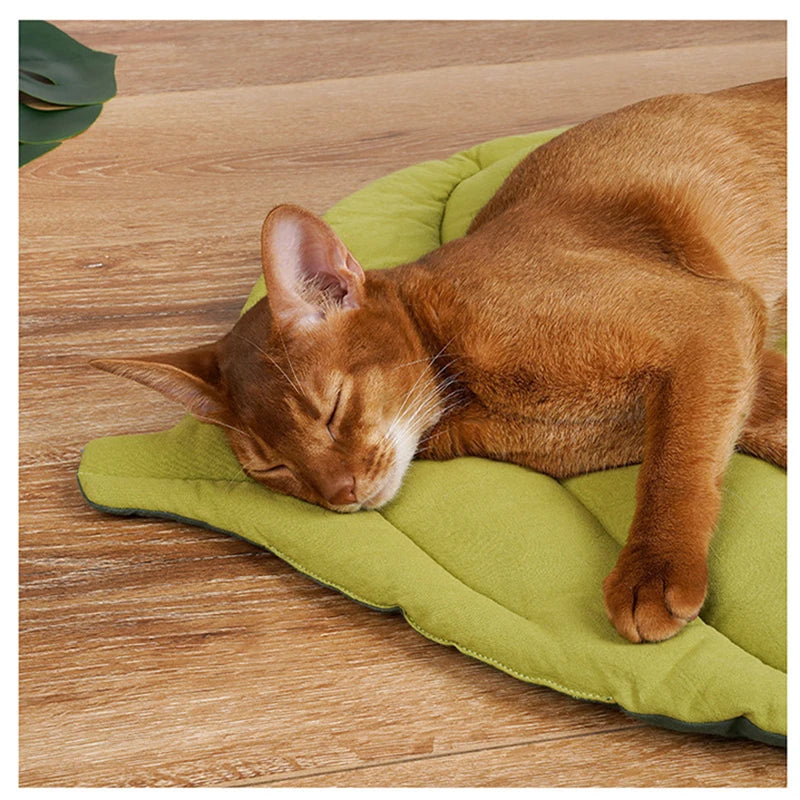 Tapis chauffant pour chat - Pour un intérieur plus propre et harmonieux