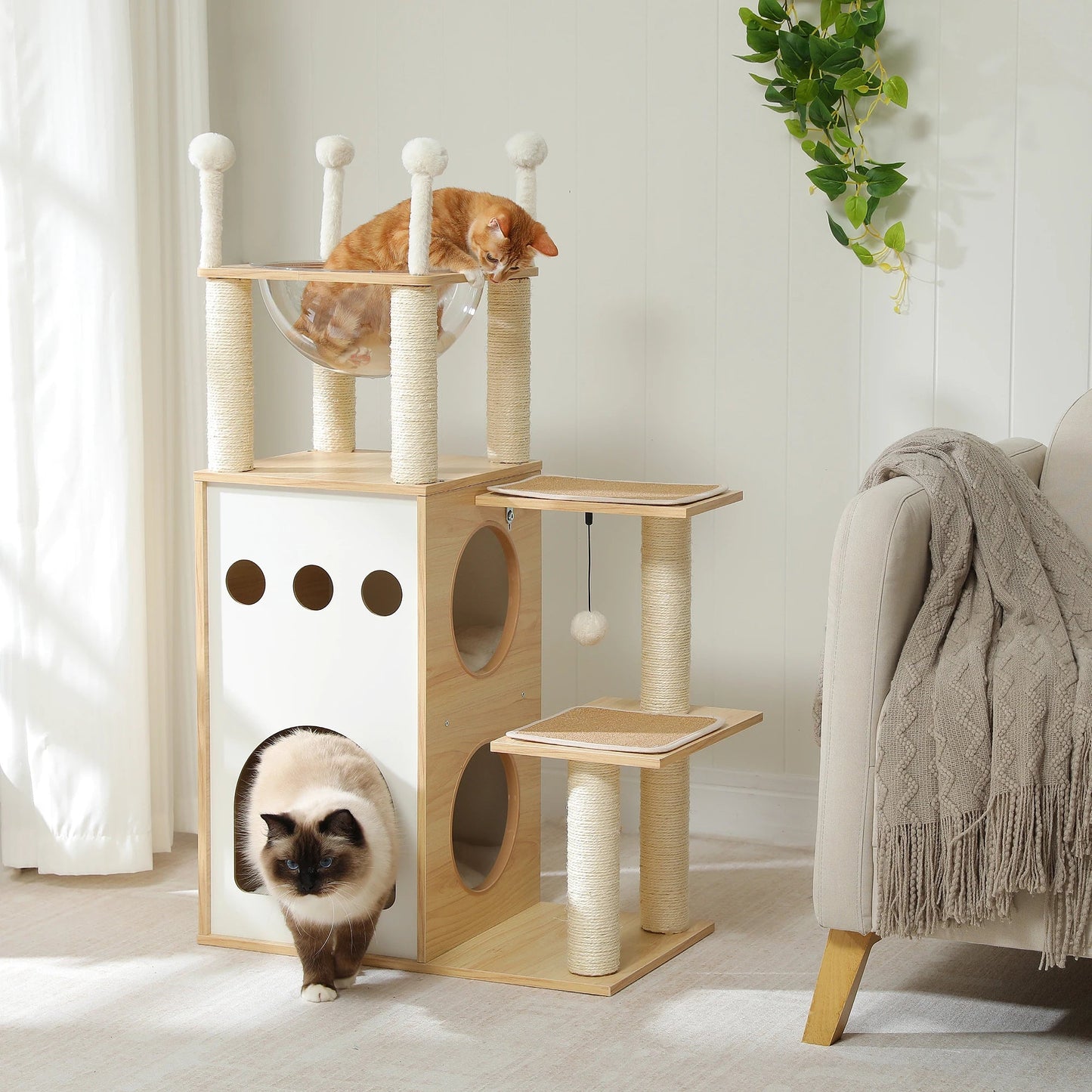 Arbre à chat - ARBREMODERNEPOURCHAT™ - CHATS