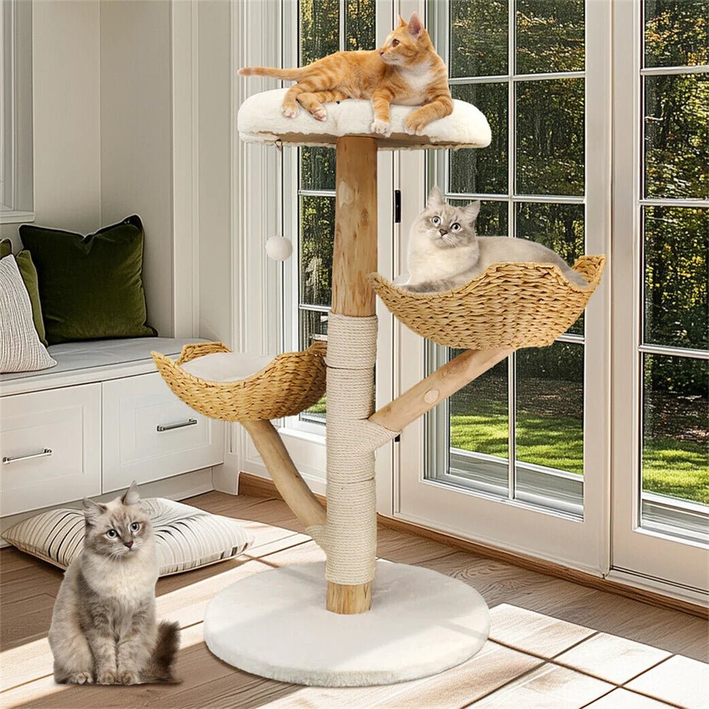 Arbre à chat - BOISDESAULEPOURCHAT™ - CHATS