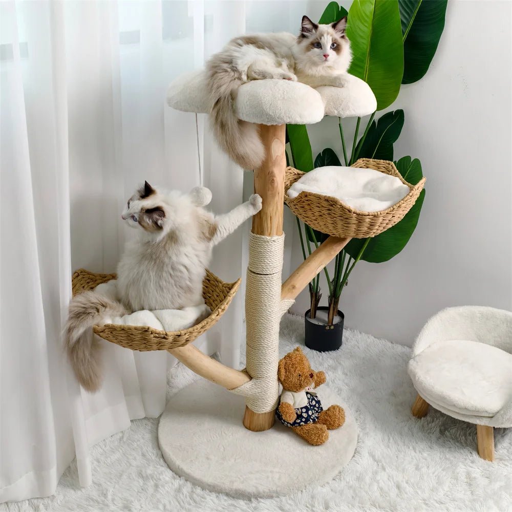 Arbre à chat - BOISDESAULEPOURCHAT™ - CHATS