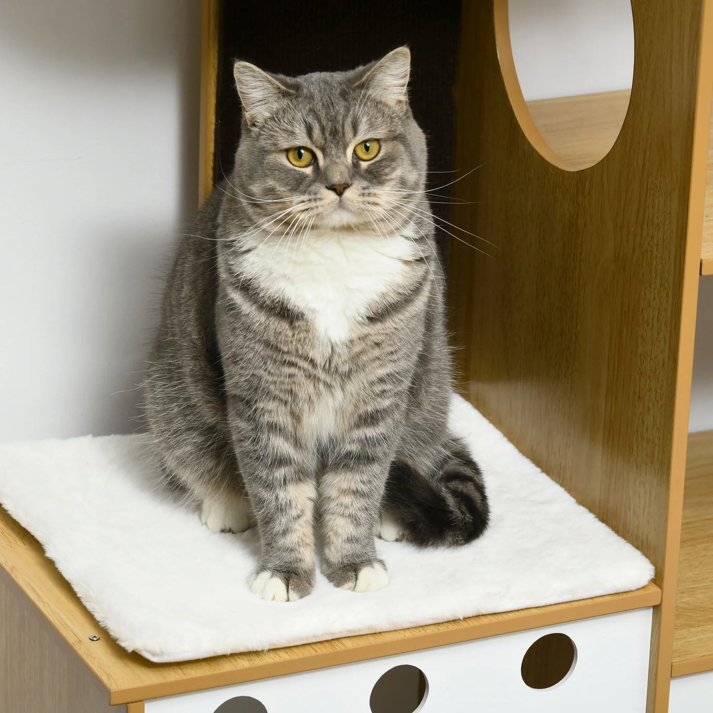 Arbre à chat en bois - GRATTOIRENBOISPOURCHAT™ - CHATS