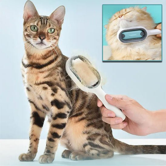 Brosse pour chat - BROSSACHATâą - CHATS