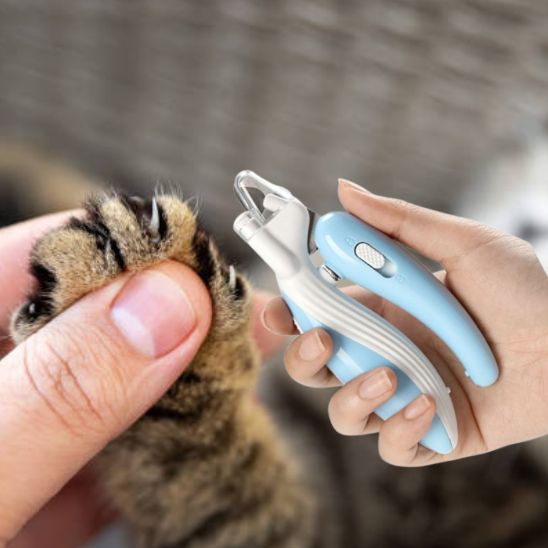 Coupe griffe chat - CISEAUPOURCHAT™ - CHATS