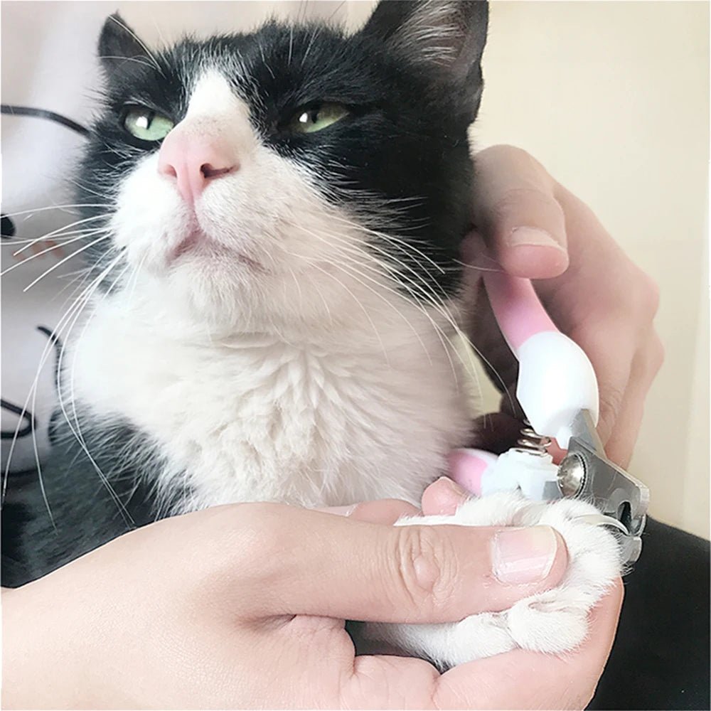 Coupe griffe chat - CISEAUPOURCHAT™ - CHATS