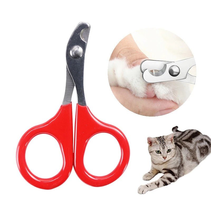 Coupe griffe chat - COUPACHAT™ - CHATS