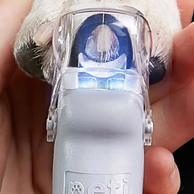 Coupe ongle chat - PINCEPOURCHAT™ - CHATS