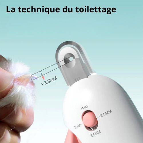 Coupe ongle pour chat - REGLABLACHAT™ - CHATS