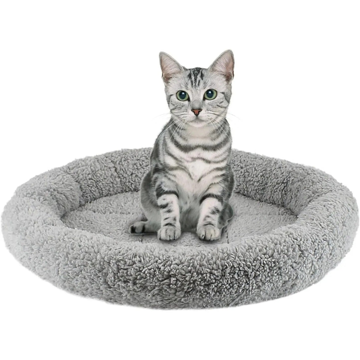 Coussin chat - COUSSINRONPOURCHAT™ - CHATS