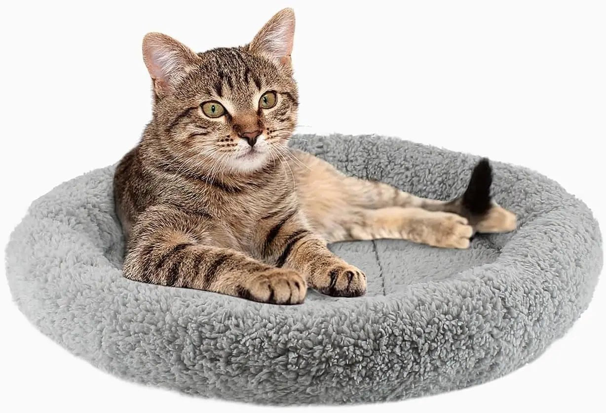 Coussin chat - COUSSINRONPOURCHAT™ - CHATS
