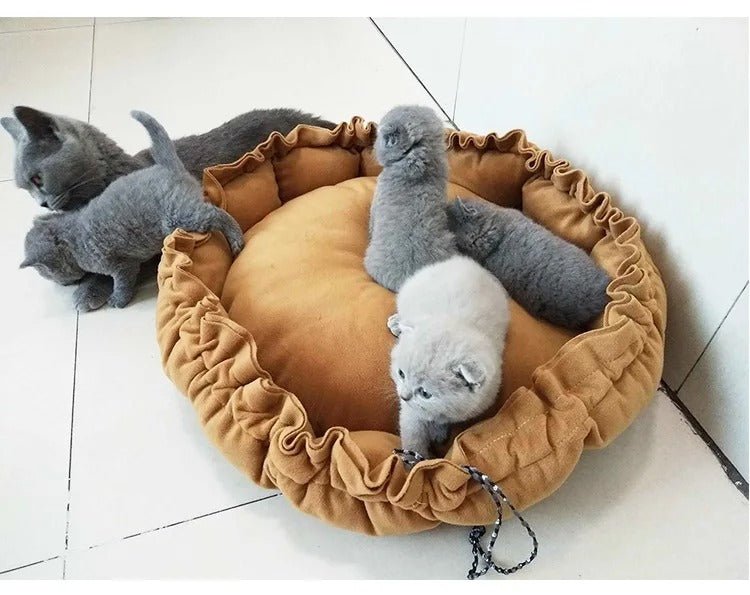 Coussin pour chat - LITCHOPOURCHAT™ - CHATS