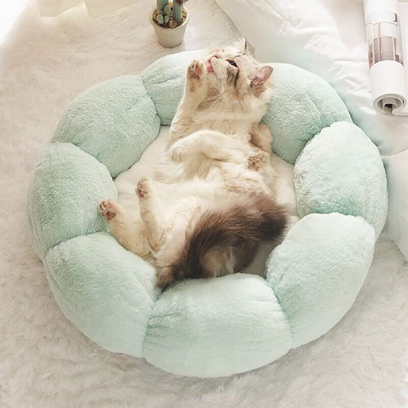Coussin pour chat - PELUCHPOURCHAT™ - CHATS