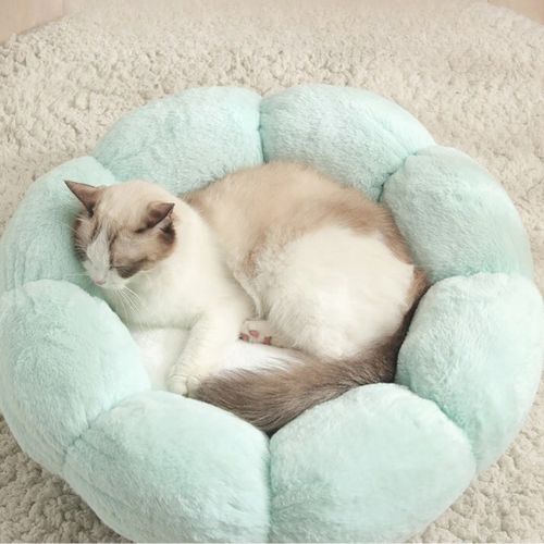 Coussin pour chat - PELUCHPOURCHAT™ - CHATS