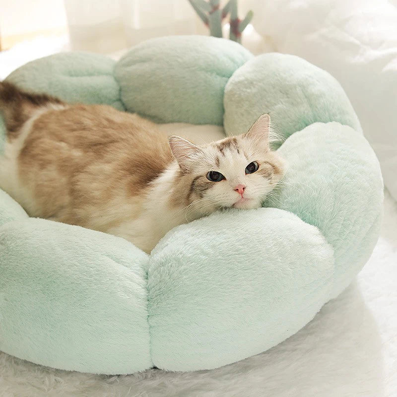 Coussin pour chat - PELUCHPOURCHAT™ - CHATS