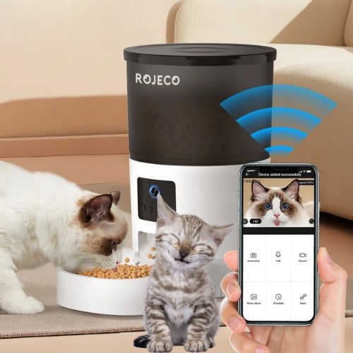 Distributeur de croquettes pour chat - DISTRIBUTEURVIDEOPOURCHAT™ - CHATS