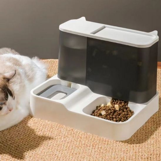 Distributeur de croquettes pour chat - GRANDECAPACITEPOURCHAT™ - CHATS