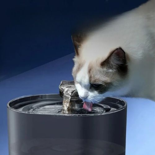 Fontaine à eau chat - RECIRCULATIONPOURCHAT™ - CHATS