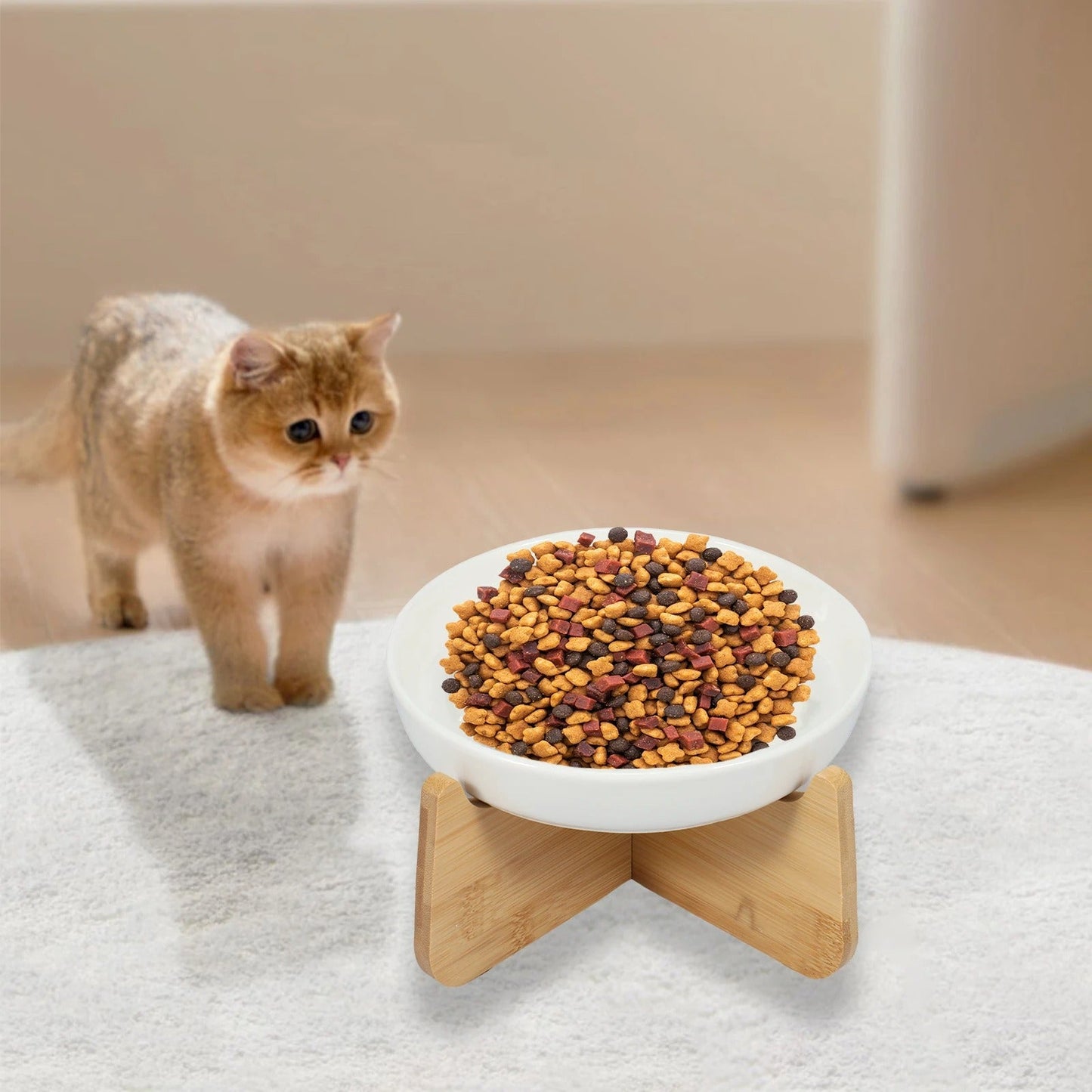 Gamelle anti glouton chat - BOLACHATâą - CHATS