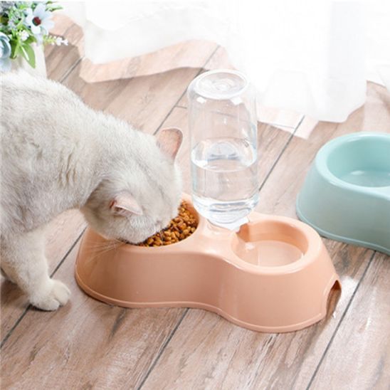 Gamelle chat - BOLCHAUDPOURCHAT™ - CHATS