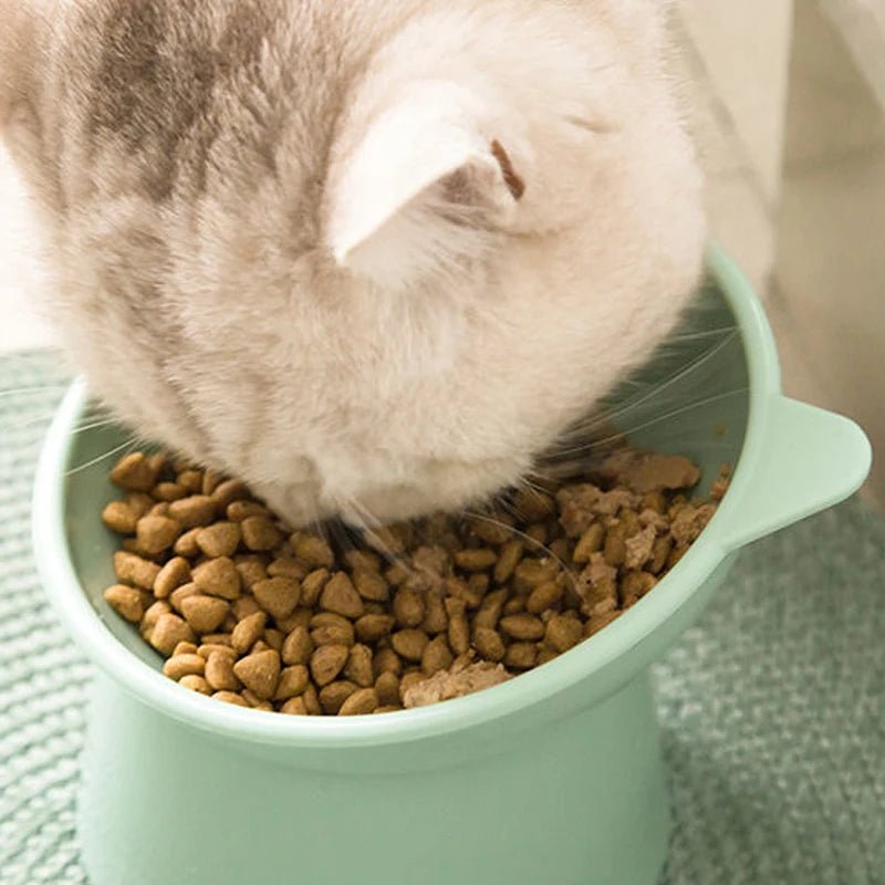 Gamelle chat surélevée - PROTECTEURDECOUPOURCHAT™ - CHATS