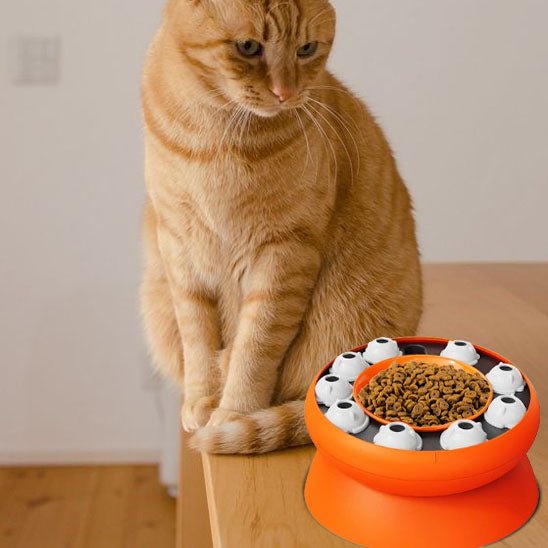 Gamelle chat surélevée - PUZZLEPOURCHAT™ - CHATS