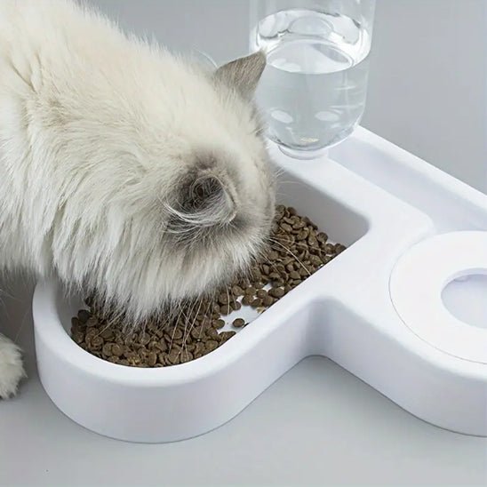 Gamelle pour chat - BASSINPOURCHAT™ - CHATS